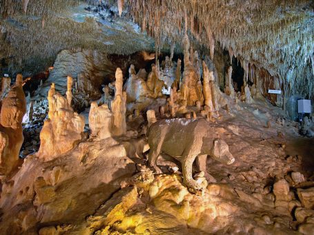 The Petralona Cave