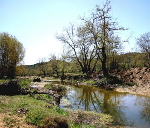 Chavria (The River of Ormylia)